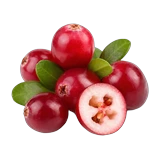 Ekstrak cranberry