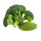 Bubuk brokoli